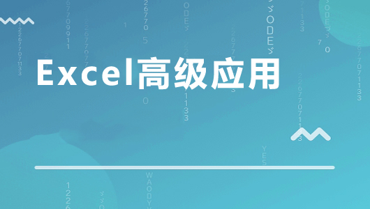 Excel高级应用